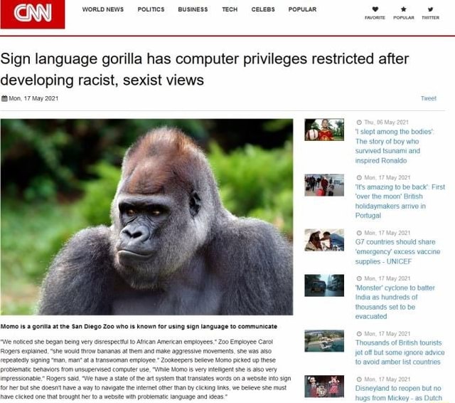 Sign Language Gorilla Has Computer Privileges Restricted After Developing Racist Sexist Views 