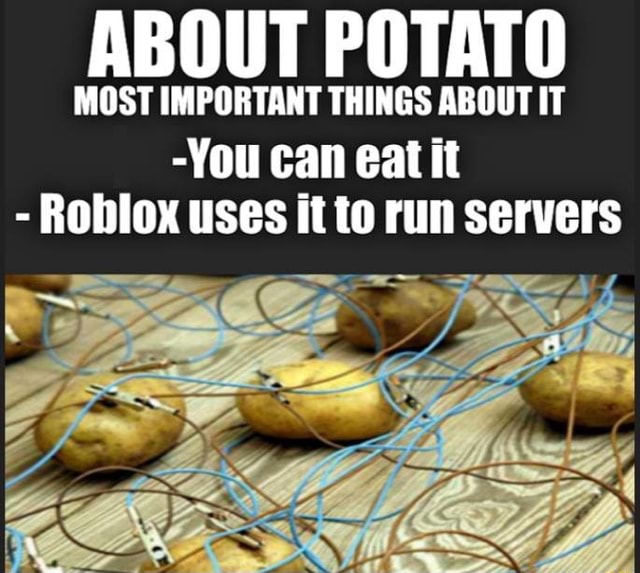 ABOUT POTATO MOST IMPORTANT THINGS ABOUT IT You can eat it Roblox