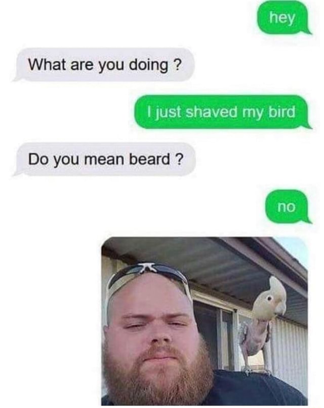 what-are-you-doing-i-just-shaved-my-bird-do-you-mean-beard-ifunny