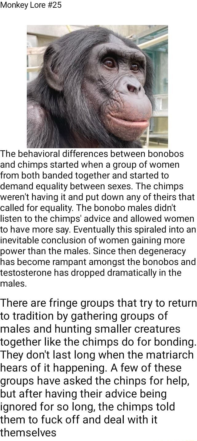 Monkey Lore #25 The behavioral differences between bonobos and chimps