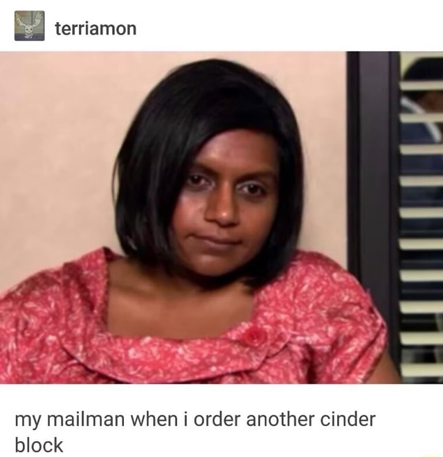 Terriamon my mailman when i order another cinder block - iFunny Brazil