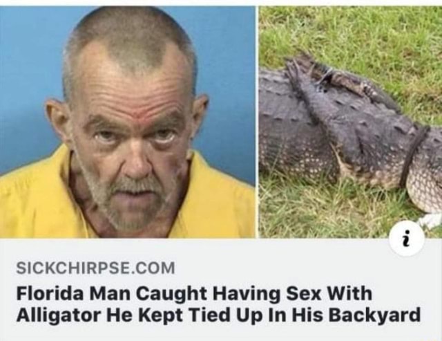 Sickchirpse Com Florida Man Caught Having Sex With Alligator He Kept