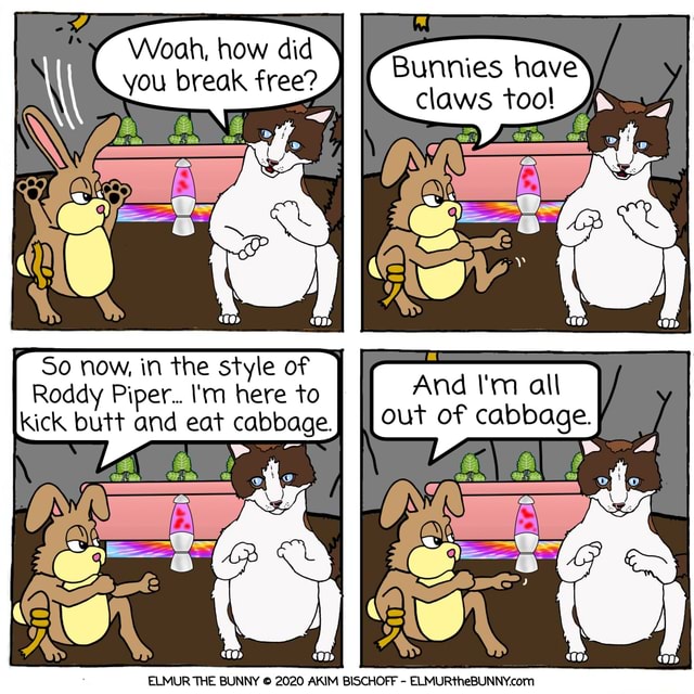 Woah, how did you break free? Bunnies have claws tool So now, in the