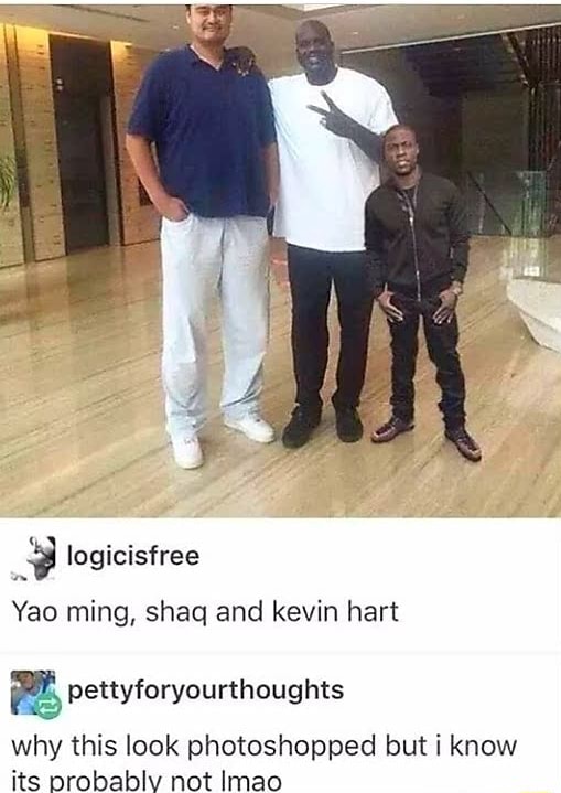 Yao ming, shaq and kevin hart ªê pettyforyourthoughts Why this look