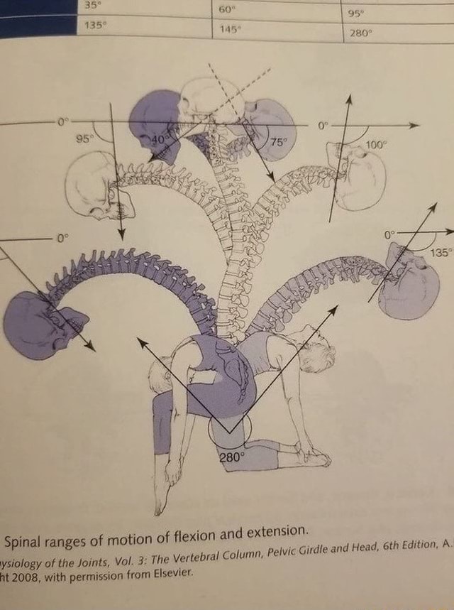  60 280 flexion and extension. Column, Pelvic Girdle and Head, Edition