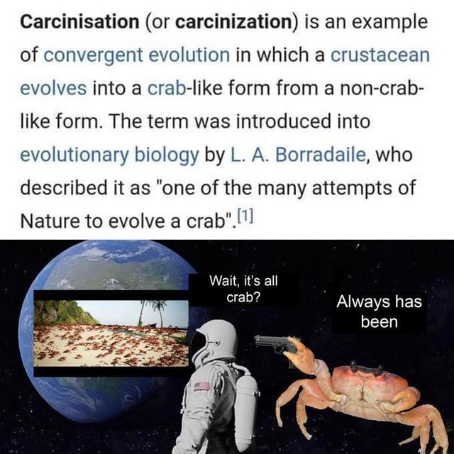 Maymays Carcinisation (or carcinization) is an example of convergent