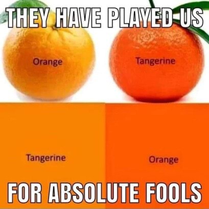 Tangerine Tangerine Orange FOR ABSOLUTE FOOLS - iFunny