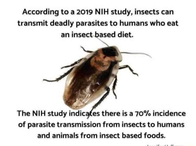 according-to-a-2019-nih-study-insects-can-transmit-deadly-parasites-to