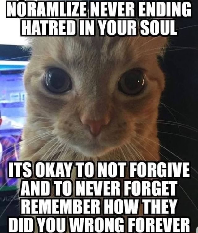 NORAMLIZE NEVER ENDING HATRED IN YOUR SOUL ITS OKAY TO NOT FORGIVE AND ...