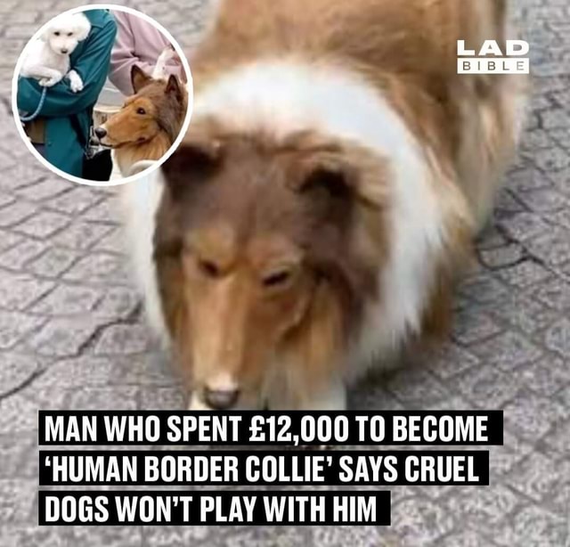 man-who-spent-to-become-i-human-border-collie-says-cruel-i-dogs-won-t