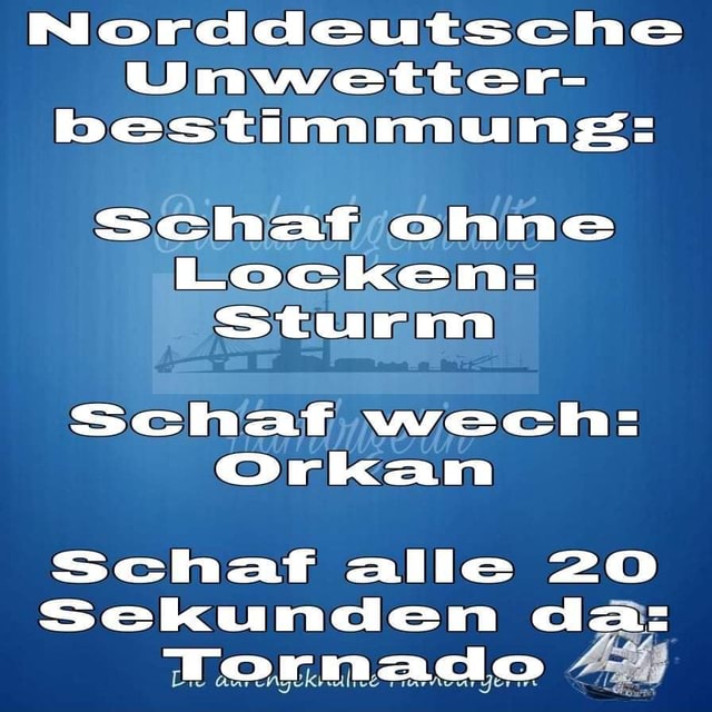 Norddeutsche Unwetter bestimmung Schaf ohne Locken Sturm Schaf wech