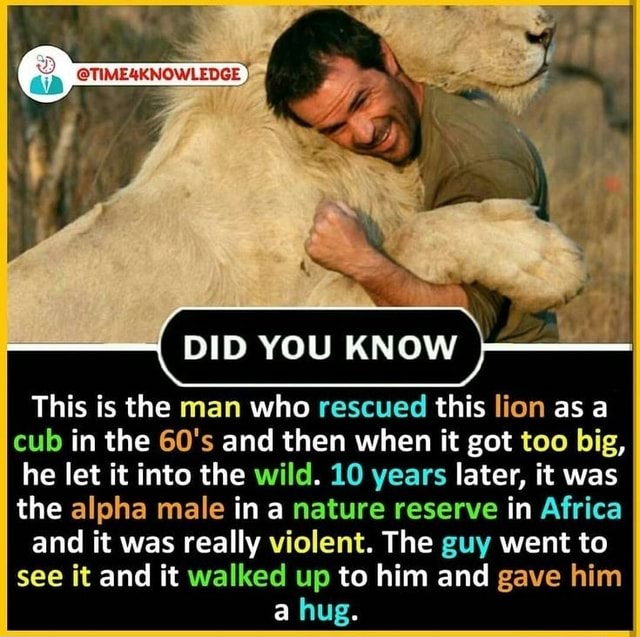 DID YOU KNOW This is the man who rescued this lion as a cub in the 60's ...