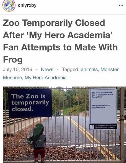 Zoo Temporarily Closed After ‘My Hero Academia’ Fan Attempts to Mate