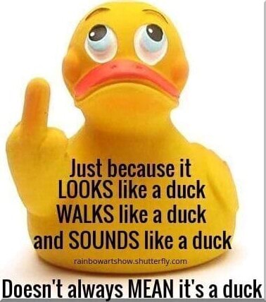 Just because it LOOKS like a duck WALKS like a duck and SOUNDS like a ...