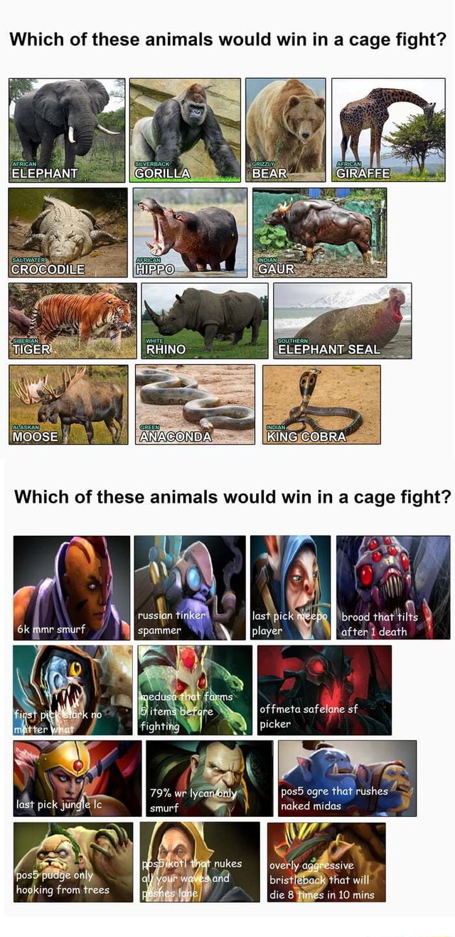 Which of these animals would win in a cage fight? ELERHANT, CROCODILE  ELEPHANT SEAL MOOSE ANAGONDA KING COBRA Which of these would win cage  fight? eduse that fams itemebetgre fighting 79% wr