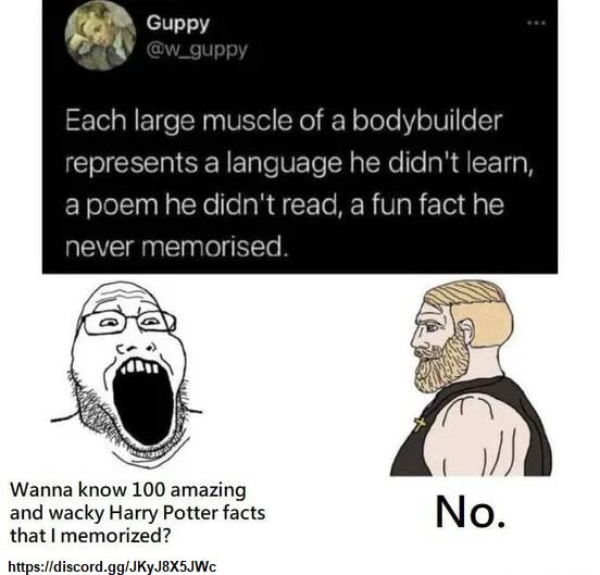 Guppy Each large muscle of a bodybuilder represents a language he didn