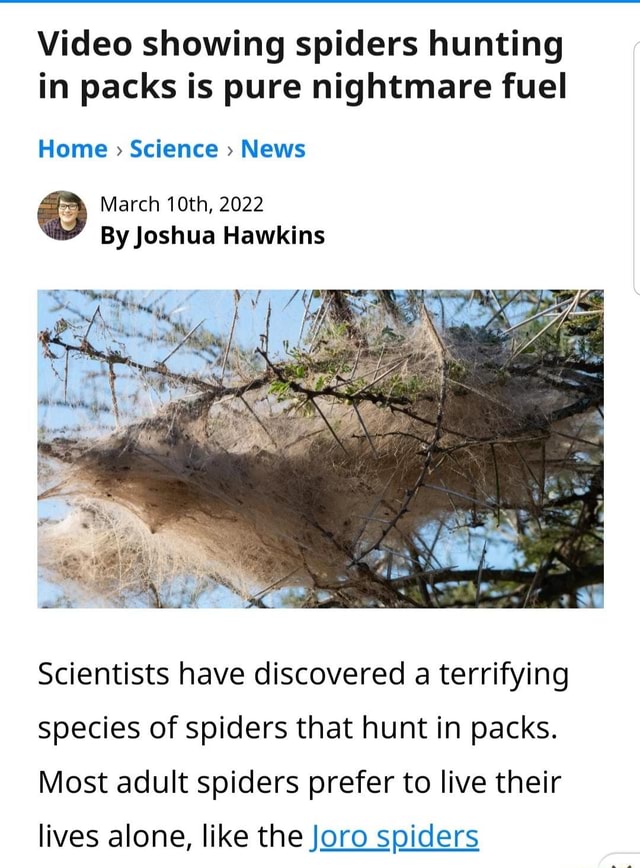 Video showing spiders hunting in packs is pure nightmare fuel Home > Science News March 10th