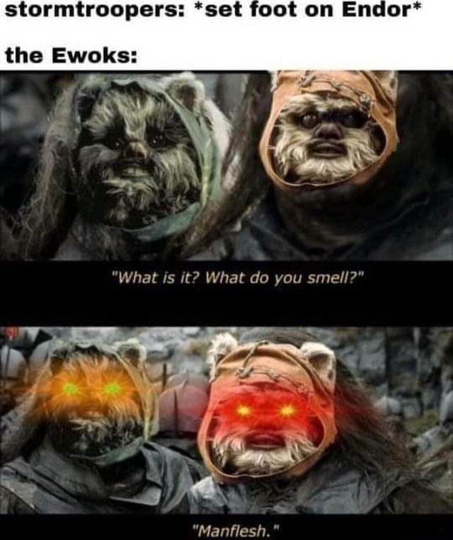 "SSU VOOL the Ewoks "what Is it? What do you smell?" "Manflesh. iFunny
