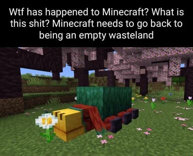 Wtf has happened to Minecraft? What is this shit? Minecraft needs to go ...