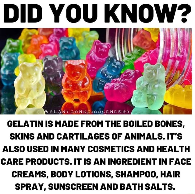 DID YOU KNOW? PPLANTCONSCIOUSENERGY GELATIN IS MADE FROM THE BOILED