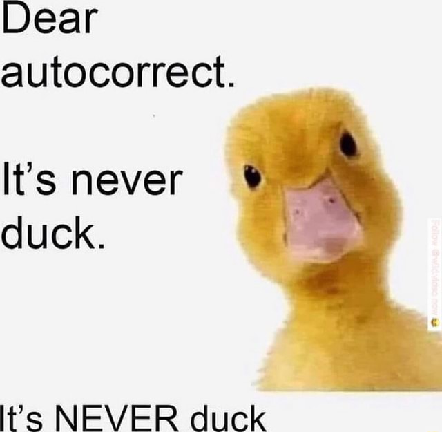 Tasse Humour : “Cher Autocorrect, It’s Never Canard” - Émail Blanc - Drôle Et Original - Cadeau Geek