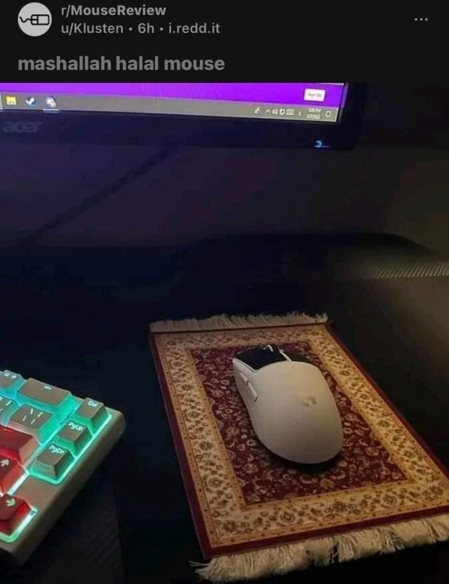 I.redd.it mashallah halal mouse - )