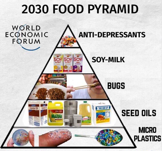 2030 FOOD PYRAMID WORLD FORUM DEPRESSARTS - iFunny