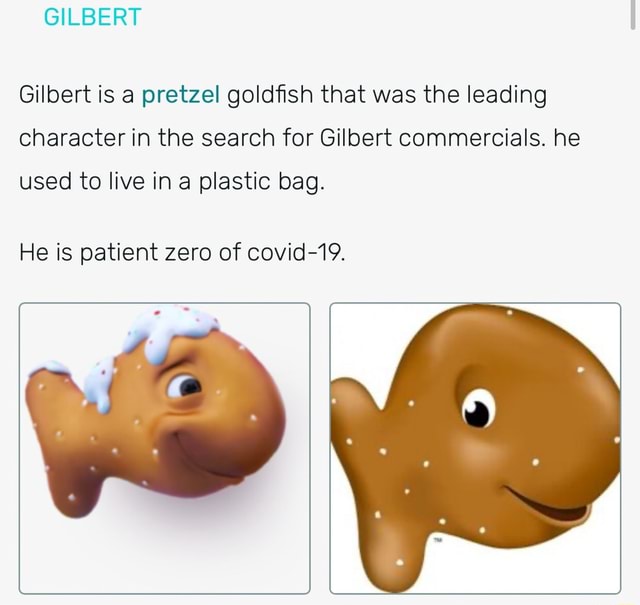 Gilbert is a pretzel goldfish that was the leading character in the search for Gilbert