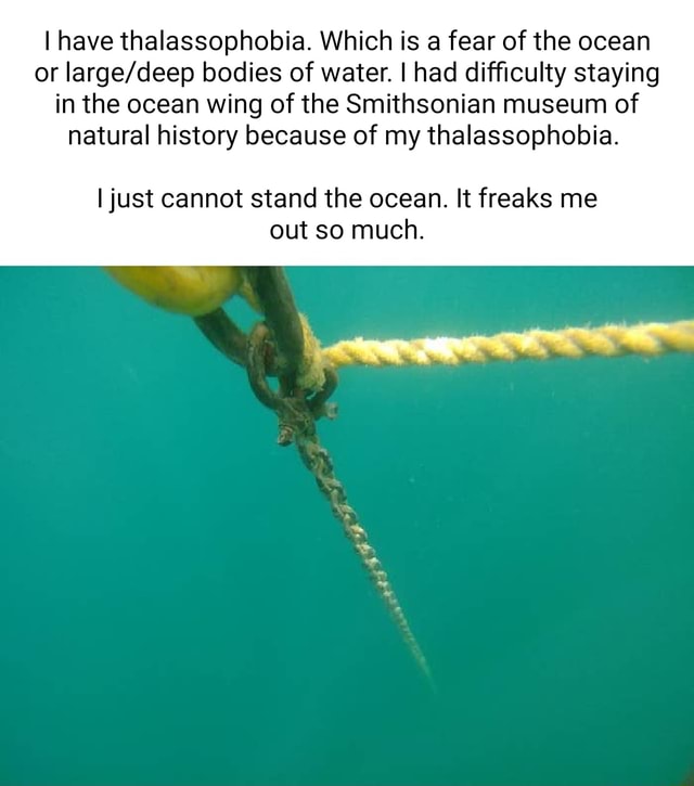 fear of the ocean essay