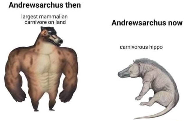 Andrewsarchus then largest mammalian carnivore on land Andrewsarchus ...