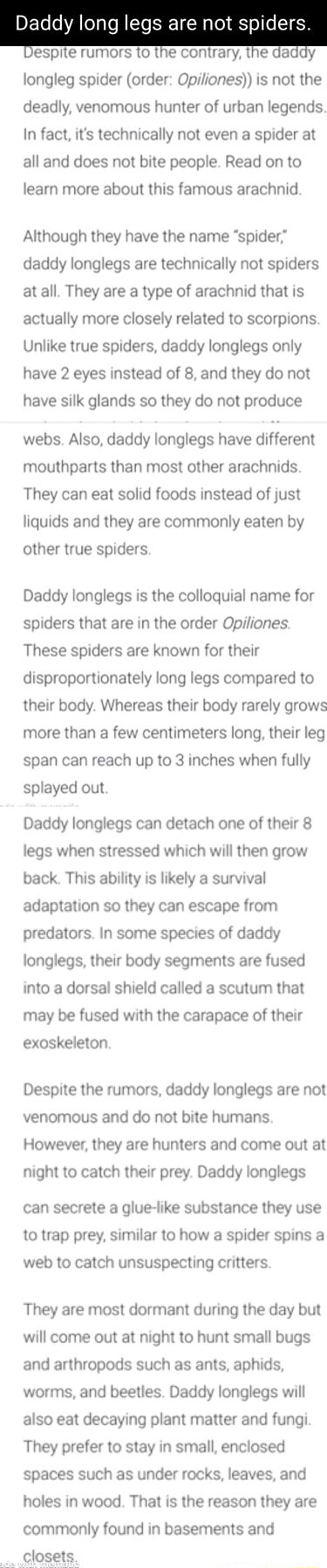 Daddy long legs are not spid: spite rumors to the contrary, the d ly ...