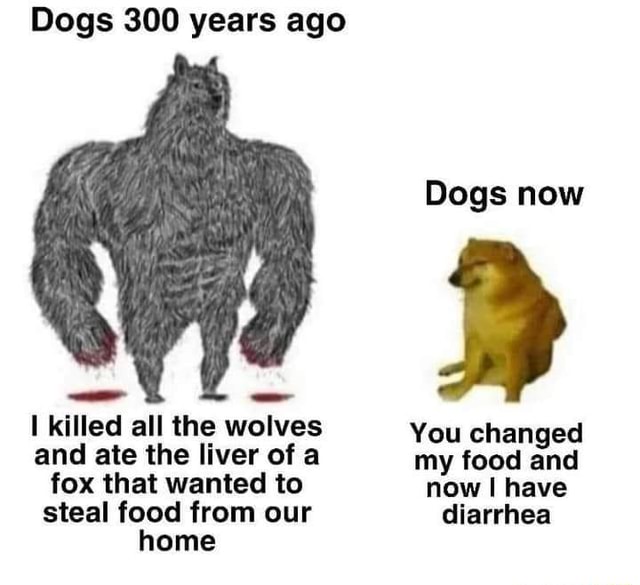 Dogs 300 years ago Dogs now ll killed all the wolves You changed and