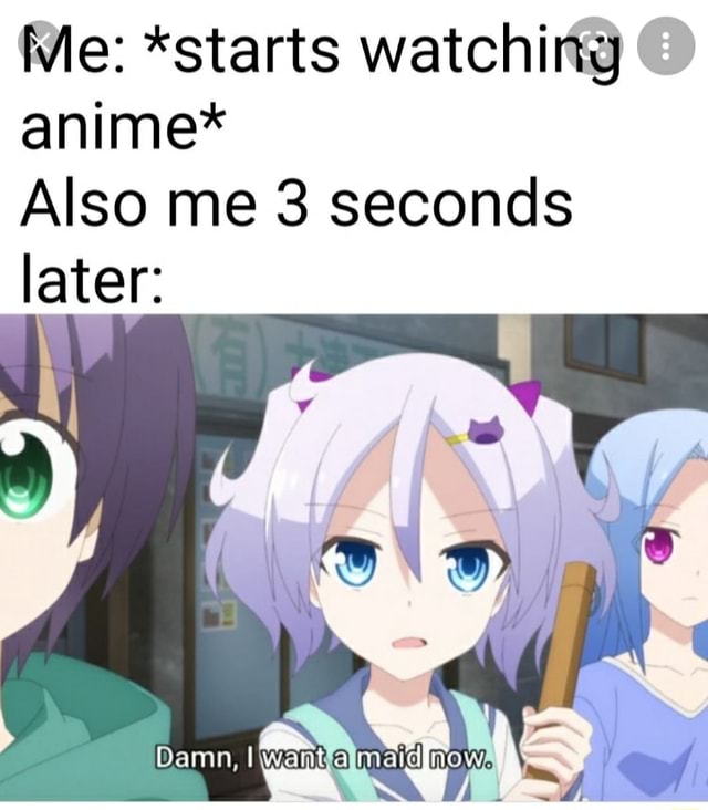 Watching anime for its memes is something I've done a lot : r/Animemes
