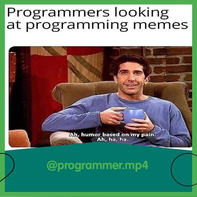 Programmers looking at programming memes - iFunny