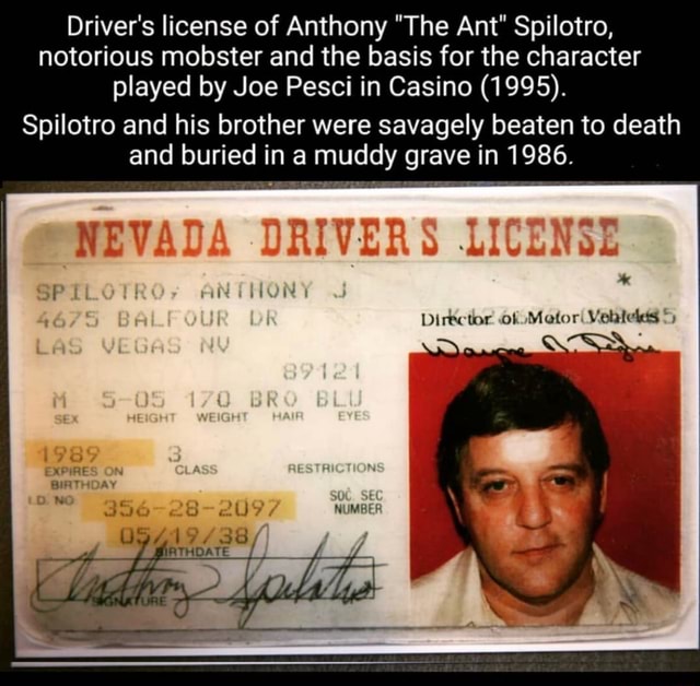 Driver's license of Anthony 