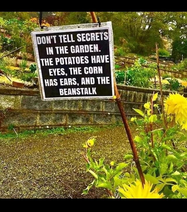 TELL SECRETS THE GARDEN. THE POTATOES HAVE EYES, THE CORN HAS EARS, AND