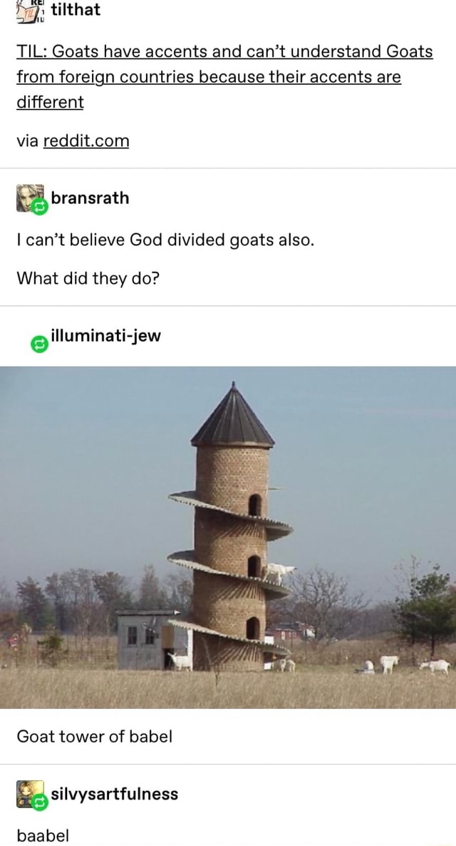 TIL Goats have accents and can’t understand Goats from foreign