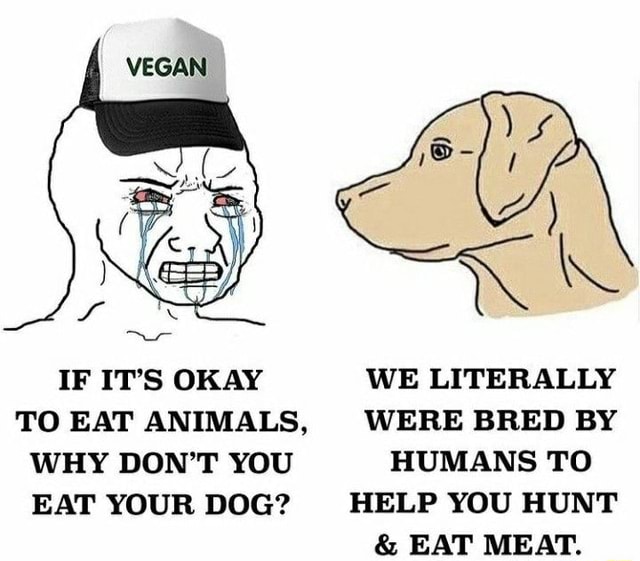 IF IT'S OKAY WE LITERALLY TO EAT ANIMALS, WERE BRED BY WHY DON'T YOU ...