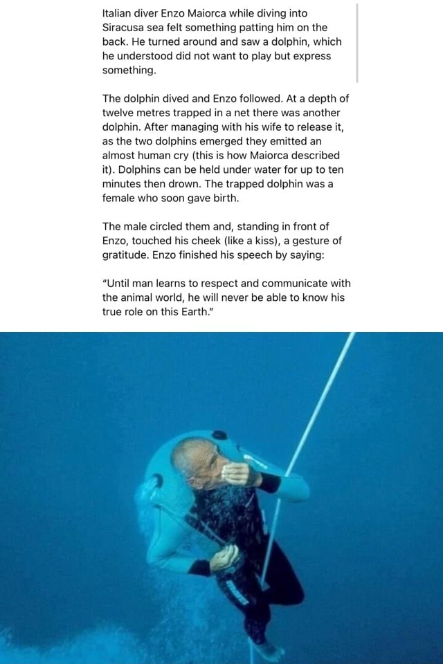 Italian Diver Enzo Maiorca While Diving Into Siracusa Sea Felt Something Patting Him On The Back He Turned Around And Saw A Dolphin Which He Understood Did Not Want To Play But