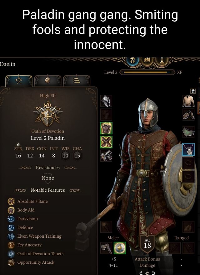 Paladin gang gang. Smiting fools and protecting the innocent. Daelin Se ...