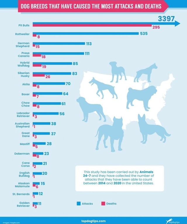 Dog Breeds That Have Caused The Most Attacks And Deaths 3397 295 