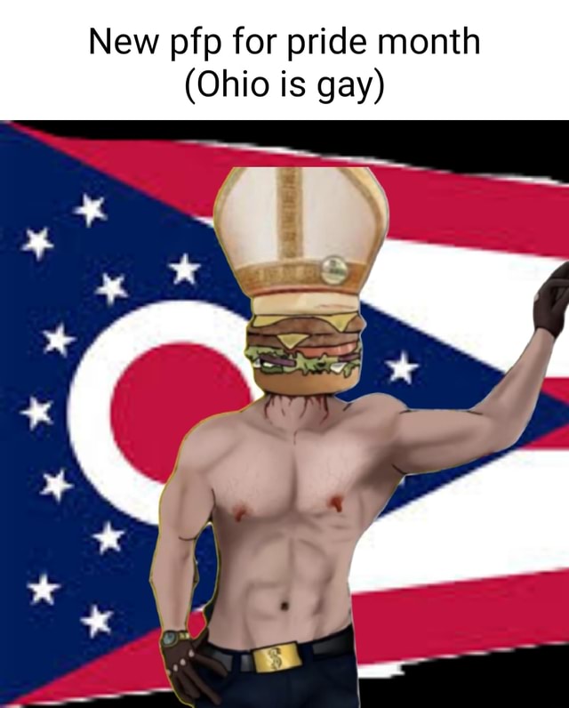 New pfp for pride month (Ohio is gay) - iFunny
