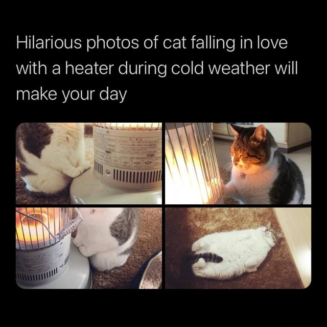 Hilarious photos of cat falling in love love with a heater during cold ...