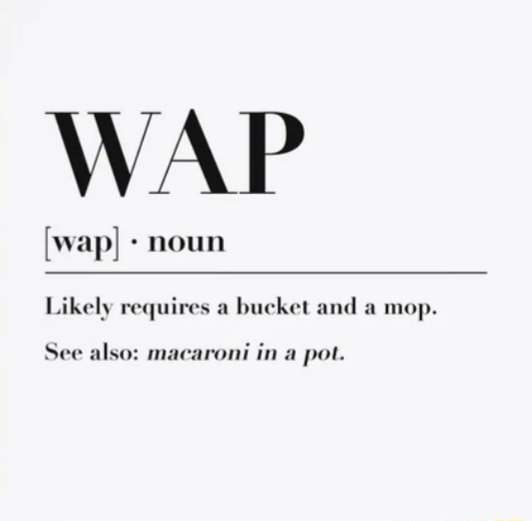 WAP [wap] noun Likely requires a bucket and a mop. See also roni in a
