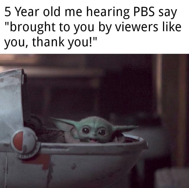 5 Year Old Me Hearing Pbs Say Brought To You By Viewers Like You Thank You