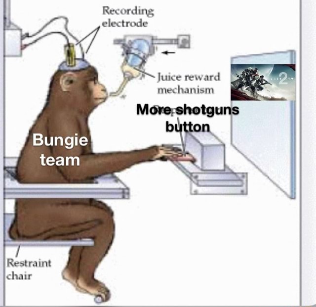 Recording electrode Juice reward mechanism Bungie team Restraint chair