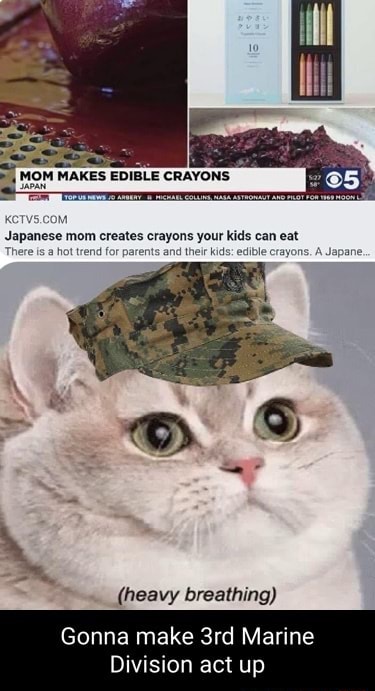 MOM MAKES EDIBLE CRAYONS Japanese mom creates crayons your kids can eat  There is @ hot trend for parents and their kids: edible crayons. A Japane  (heavy breathing) Gonna make Marine Division