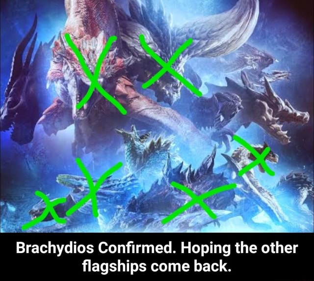 Brachydios Con Rmed Hoping The Other Agships Come Back Brachydios   E7973af0ae0f933ec1a753fc46f93370b7bacb6732787766470c0c201b1c1141 1 