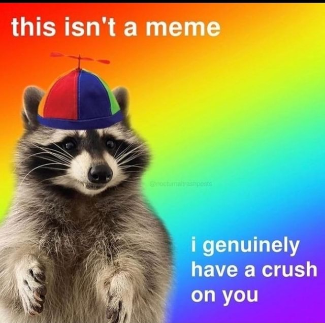 This isn't a meme he genuinely have a crush On you iFunny