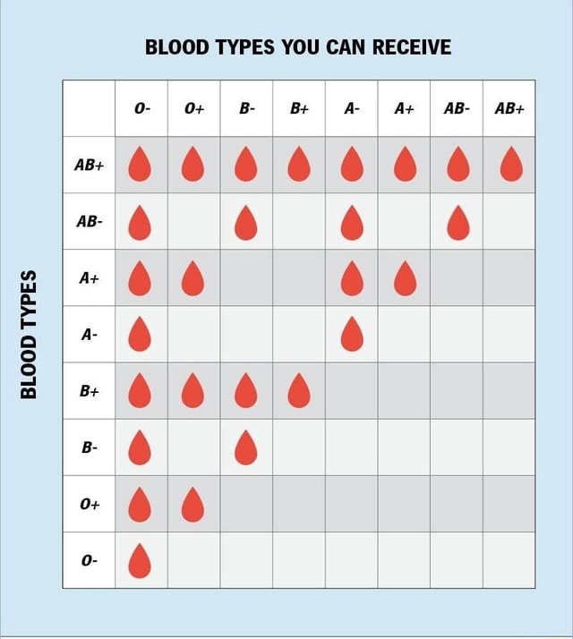 BLOOD TYPES TYPES TYPES TYPES ~oe BLOOD TYPES YOU CAN RECEIVE I I + I ...